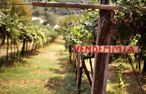 Montebelluna Bed & Breakfast | Artemide Relais