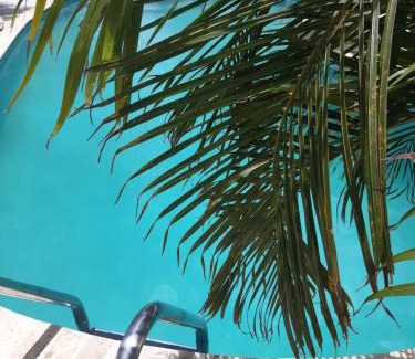 Ponton Apartment | Aruba Harmony's Boutique Hotel & Apartments