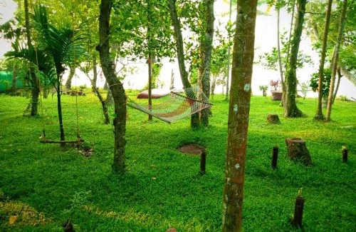 Mathilil House | AshtamudiVillas