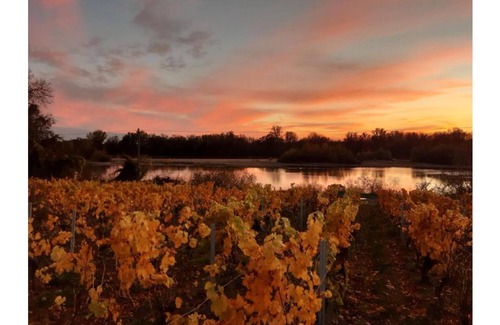Pouilly-sur-Loire Apartment | At the Swallows' Nests studio for 2 people