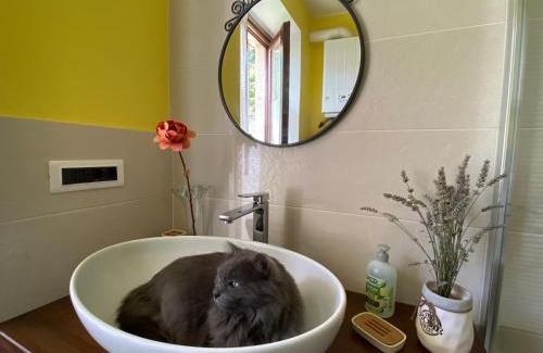San Giorgio Canavese Bed & Breakfast | Atene del Canavese