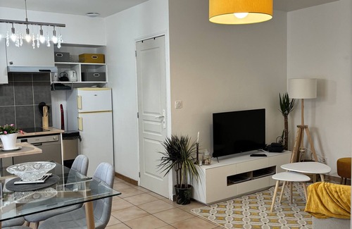 Miplaine Apartment | Atmosphère Cocooning Près Eurexpo/groupama Stadium
