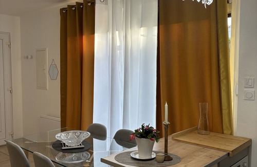Miplaine Apartment | Atmosphère Cocooning Près Eurexpo/groupama Stadium