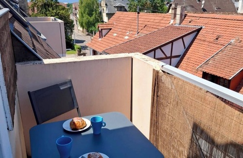 Erstein Apartment | Au Nichoir d'Alsace