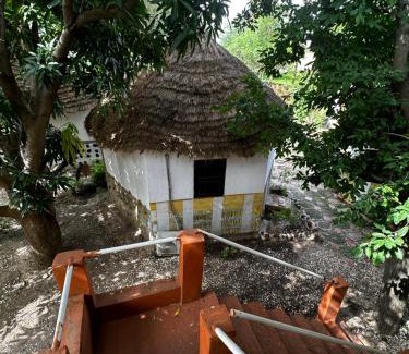 Sokone Hostel | AUBERGE DU DELTA CHEZ BABA