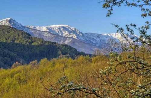 Selishte House | Authentic House with Stunning Mountain View - Karashka