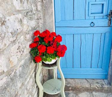 Rojnici House | Authentic stone house Miro