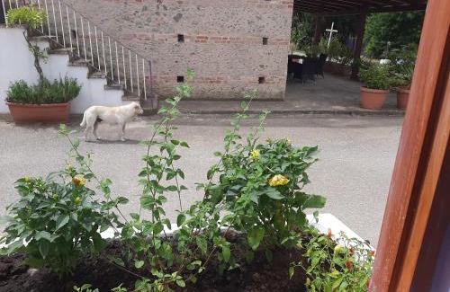 Lamezia Terme Apartment | Azienda Agricola Neocastrum
