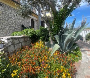 Morcone House | Azienda agrituristica Di Fiore