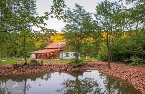 Tardos Bed & Breakfast | Bányahegyi erdei nyugalom és wellness
