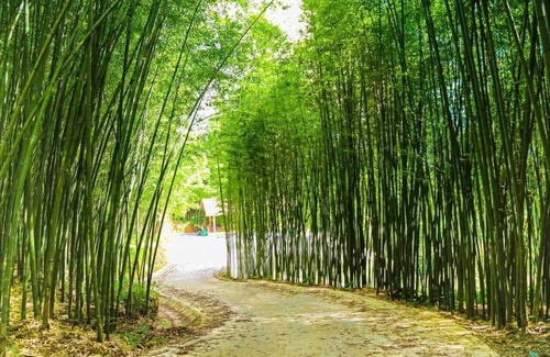 Bao Lac House | Bảo Lạc Traditional Homestay