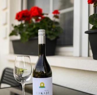 Tokaj House | B-30 Vendégház