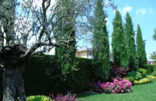 Lissaro Bed & Breakfast | B&B Ai Cipressi