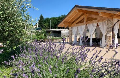 Casnate Con Bernate Bed & Breakfast | B&B Alciliegio
