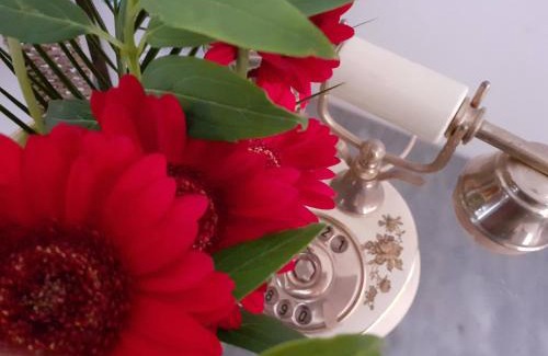 Venegazzu Bed & Breakfast | B&B Alla Bon'ora