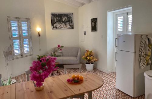 Koralengebied Apartment | B&B Belvédère - unique monument in the old city