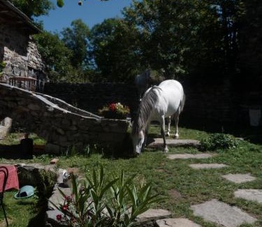 Yssingeaux Bed & Breakfast | B&B Bio et écolo du Besset