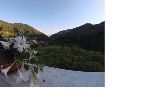 Pucara Bed & Breakfast | B&B Bouganville in Pucara