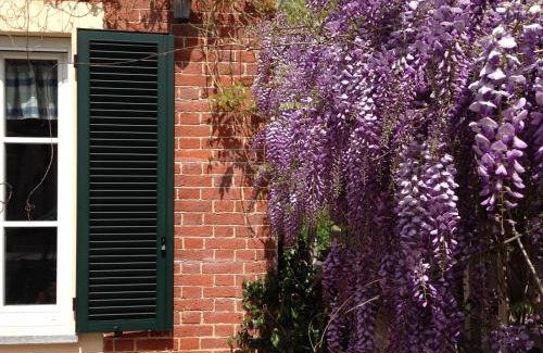 San Damiano dʼAsti Bed & Breakfast | B&B Cascina Martinetta