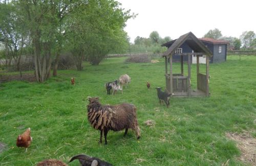 Slochteren Bed & Breakfast | B&B De Boeren Zwaluw