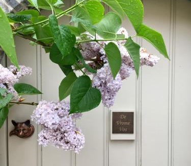 Mechelen Bed & Breakfast | B&B De Vrome Vos
