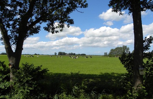 Onderdendam Bed & Breakfast | B&b Hoogholtje