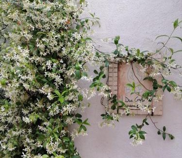 Montelibretti Bed & Breakfast | B&B I Due Gelsi
