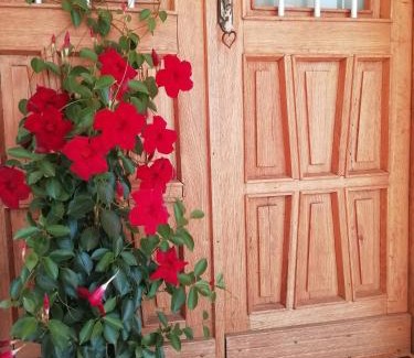 San Gregorio nelle Alpi Bed & Breakfast | B&B La casa di Loretta