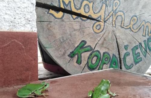 Kopacevo Bed & Breakfast | B&B Majhen
