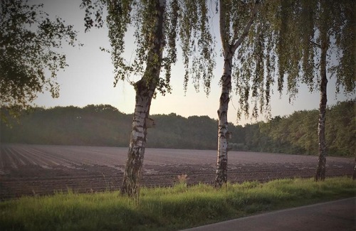 Soerendonk Bed & Breakfast | B&B Op 't Eikenschoor