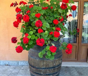 Madonna Dei Fornelli Bed & Breakfast | B&b Romani