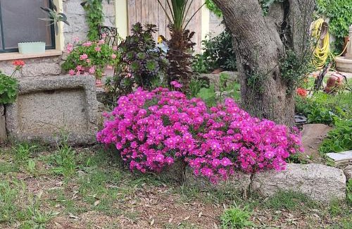 Berchidda Bed & Breakfast | B&B San Michele