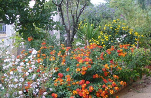Caltanissetta Villa | B & B St. ELIA suite ROSA: CHARMING VILLA IMMERSED IN THE HISTORIC PARK DUBINI