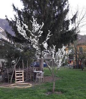 Montoro Bed & Breakfast | B&B Sun Garden