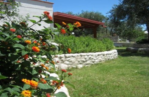 Mattinata Apartment | B & B Yellow wolfbane