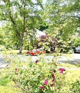 Naperville House | B4 A private room in Naperville downtown with desk and Wi-Fi near everything