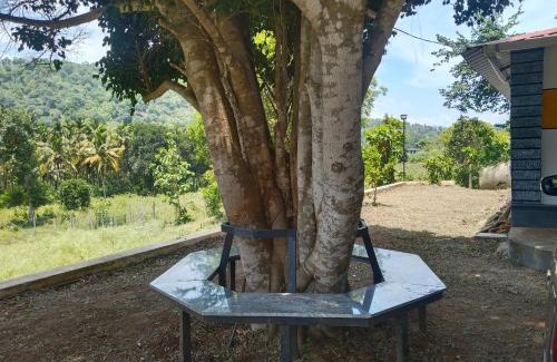 Mannarkkad Cabin | Babas Villa