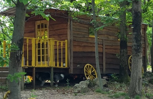 Valgorge Cabin | Back to basics the Daffodil trailer close to the hiking trails