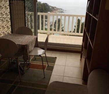 Caleta Horcon Apartment | Bahia Pelicanos