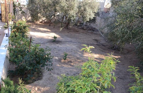 Houmt Souk House | Bain bandou D’ar el Pacha