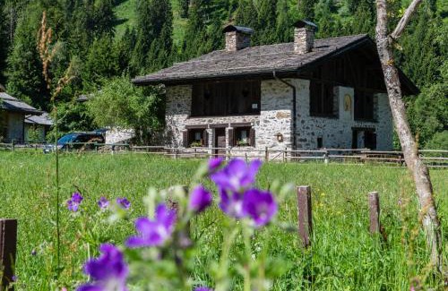 Pellizzano Ski Chalet | Baita Tomaselli