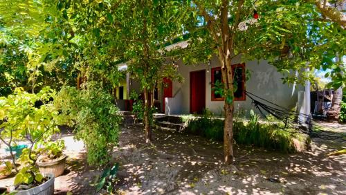 Rote Island Bed & Breakfast | Balo Surf House