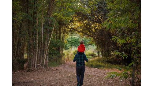 Bauple House | Bamboo Grove by Tiny Away