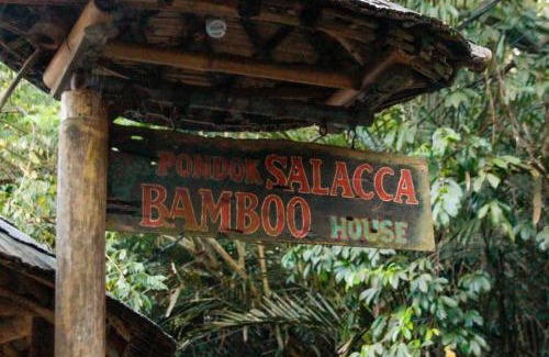 Bebandem House | Bamboohouse pondok salacca #salacca inn