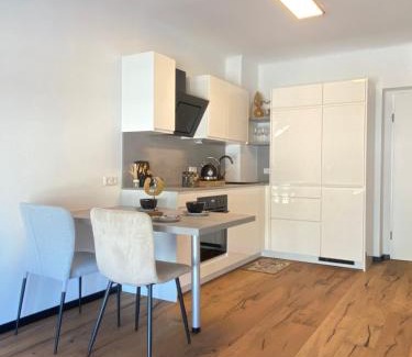 Klagenfurt am Woerthersee Apartment | BaMo Studio - city living downtown
