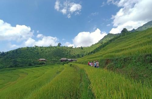 Bac Ha House | Ban Lien Pine Homestay