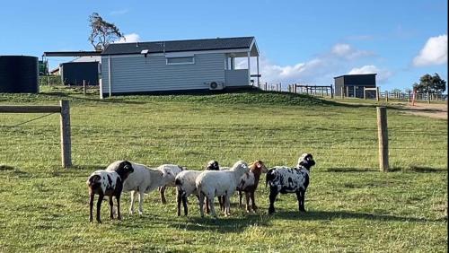 Seaton Villa | Banjos Cabin Gippsland - Luxury Eco Stay - King Bed, Pond Valley Views, Fireplace