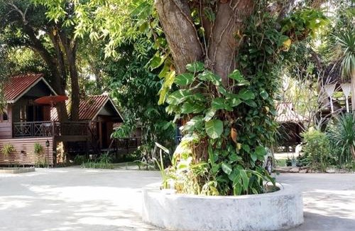 Mae Hong Son Resort | Banviewnam Camping & Resort