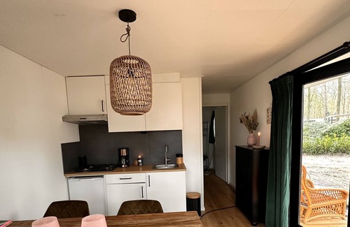 Zuidwolde Cabin | Barber houses in a wooded area