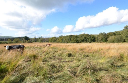 Margam House | Barn 2 - Cow - Three Bedroom House, Sleeps 6